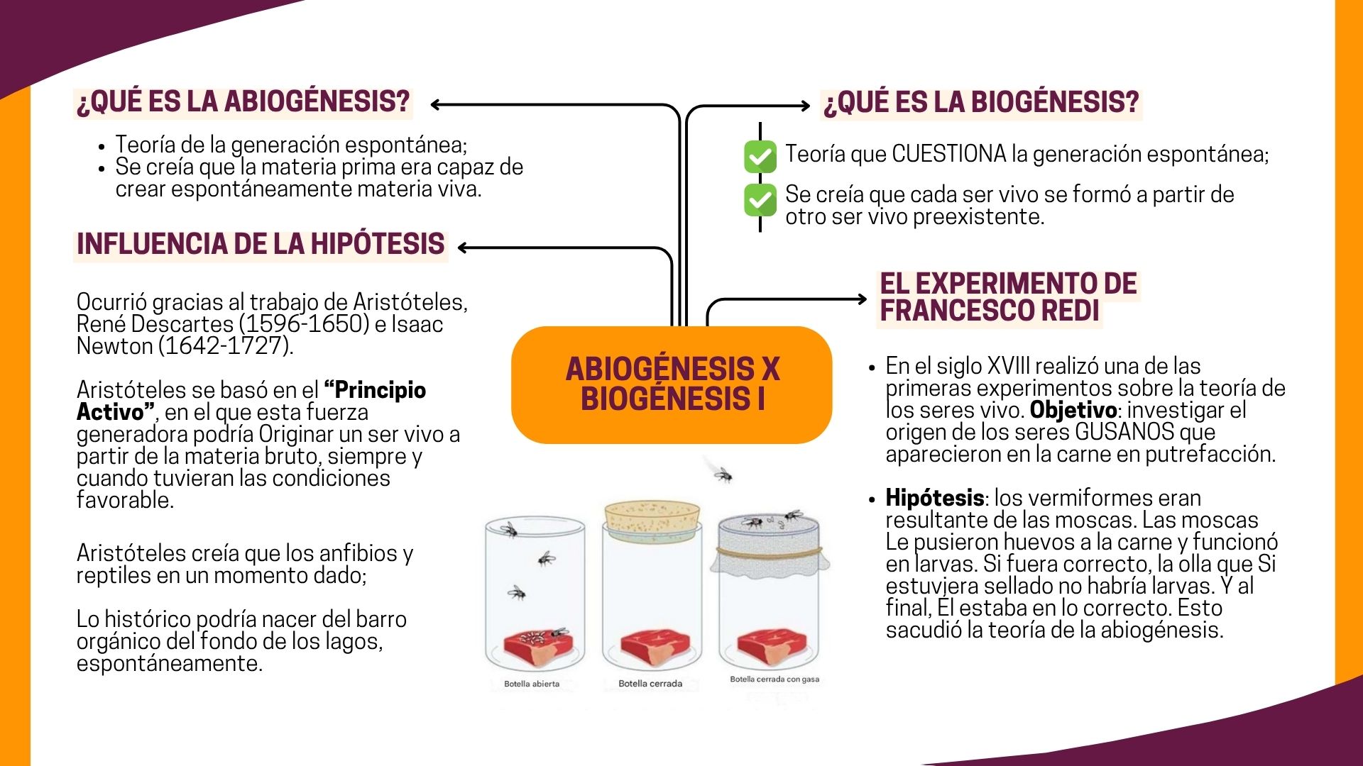 Abiogénesis x Biogénesis I