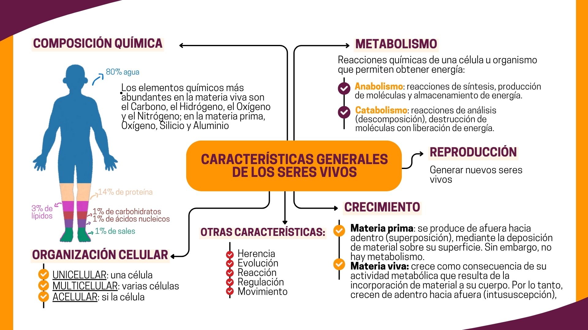 Características generales de los seres vivos