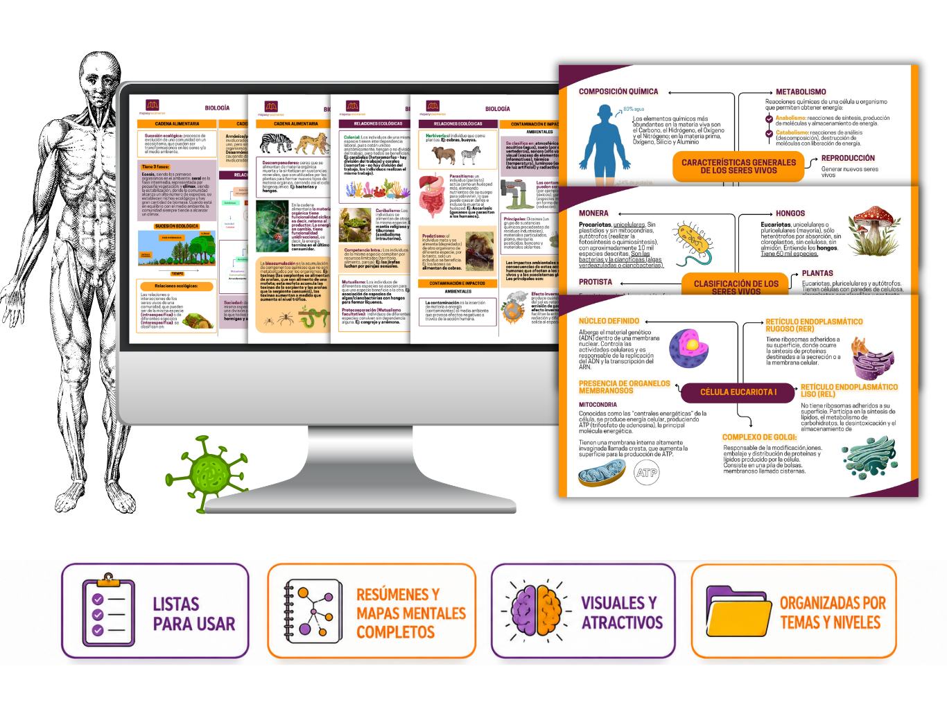 Combo completo de Biología — 100 mapas mentales y 70 resúmenes en todos los dispositivos
