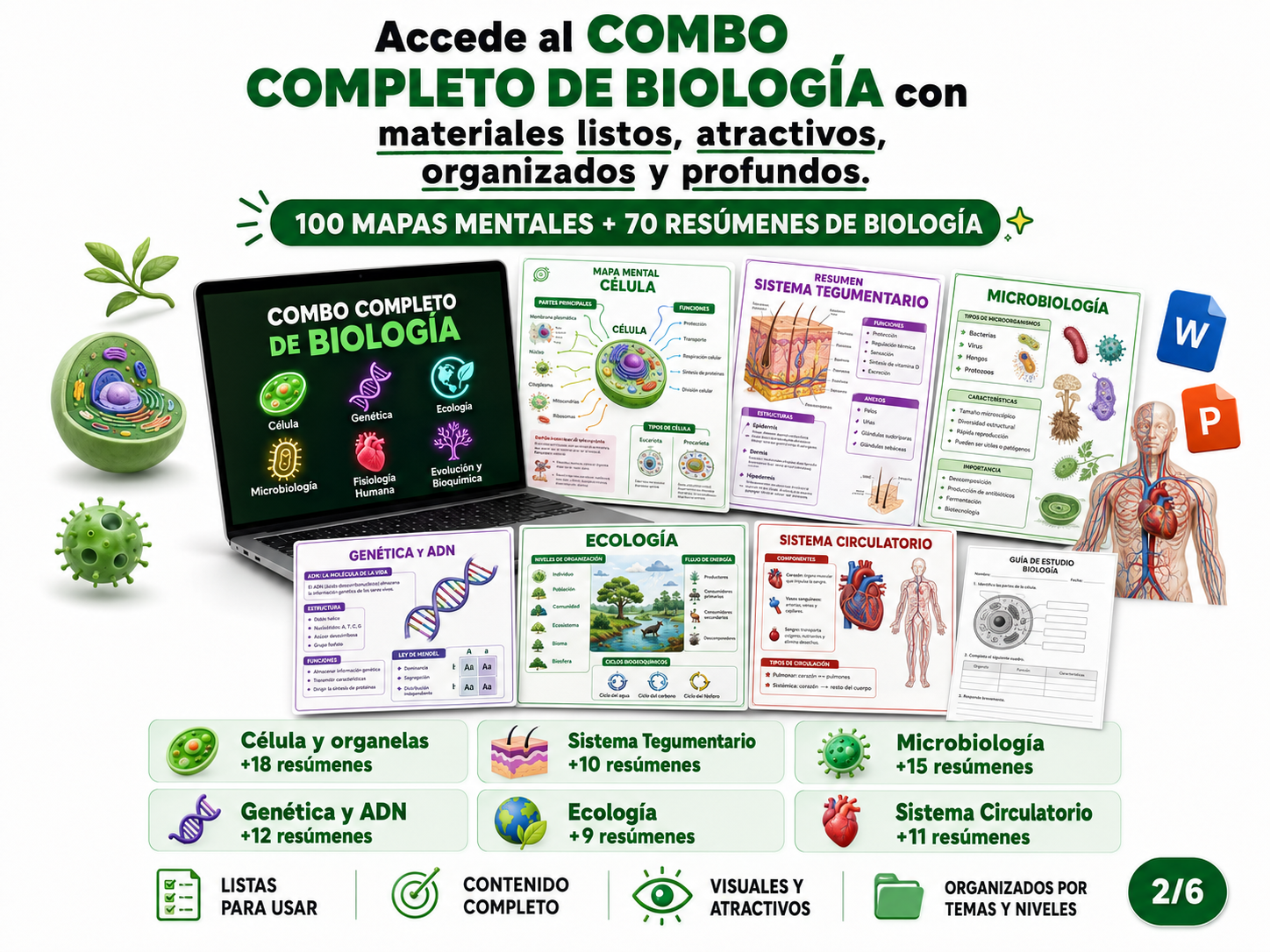 Vista previa de los mapas mentales y resúmenes en pantalla