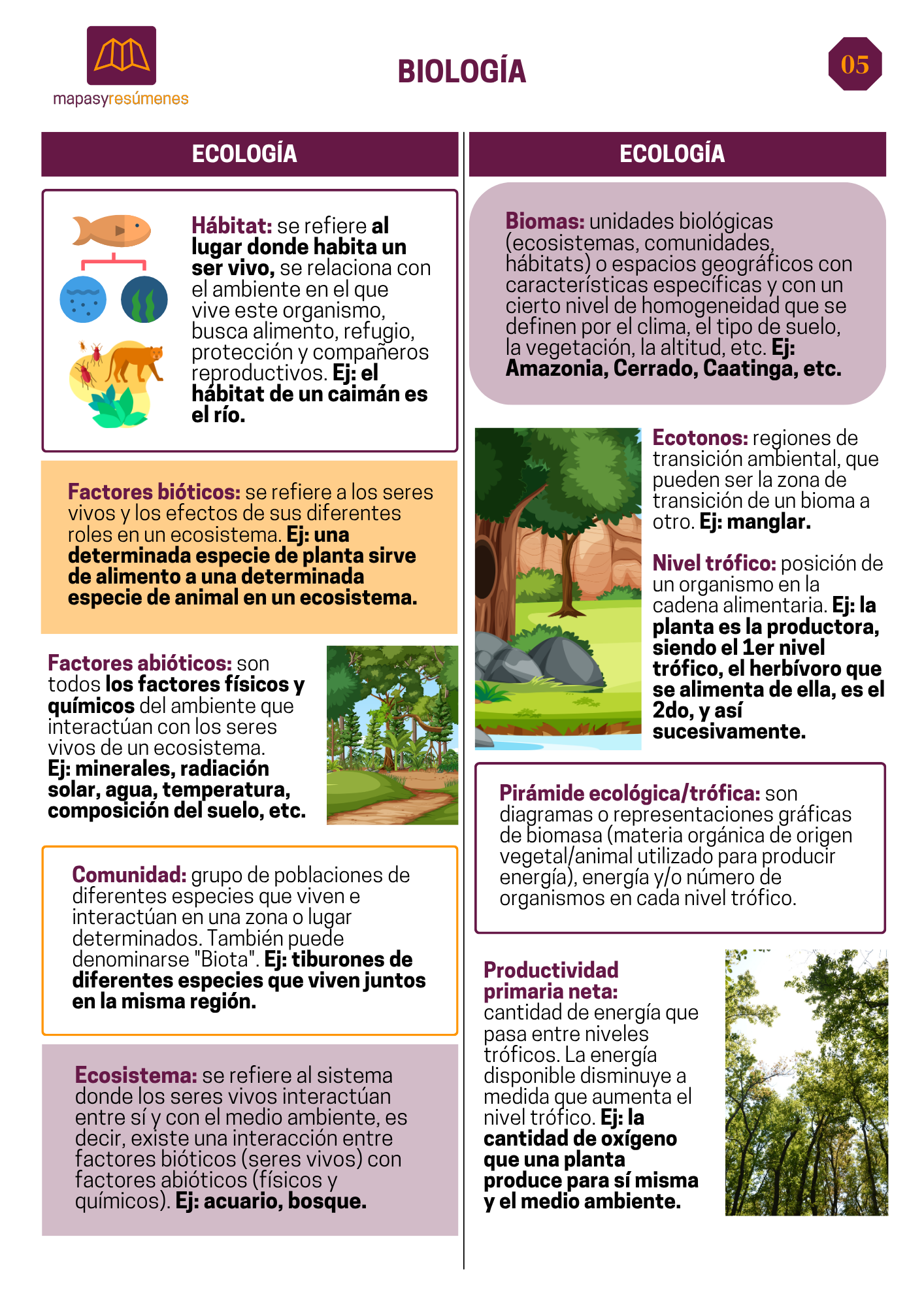 Ecología