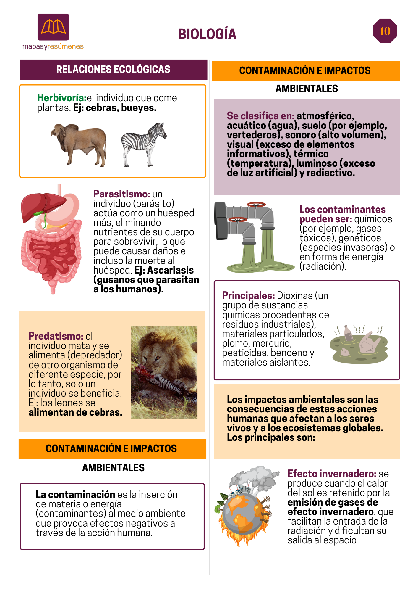 Contaminación e impactos ambientales